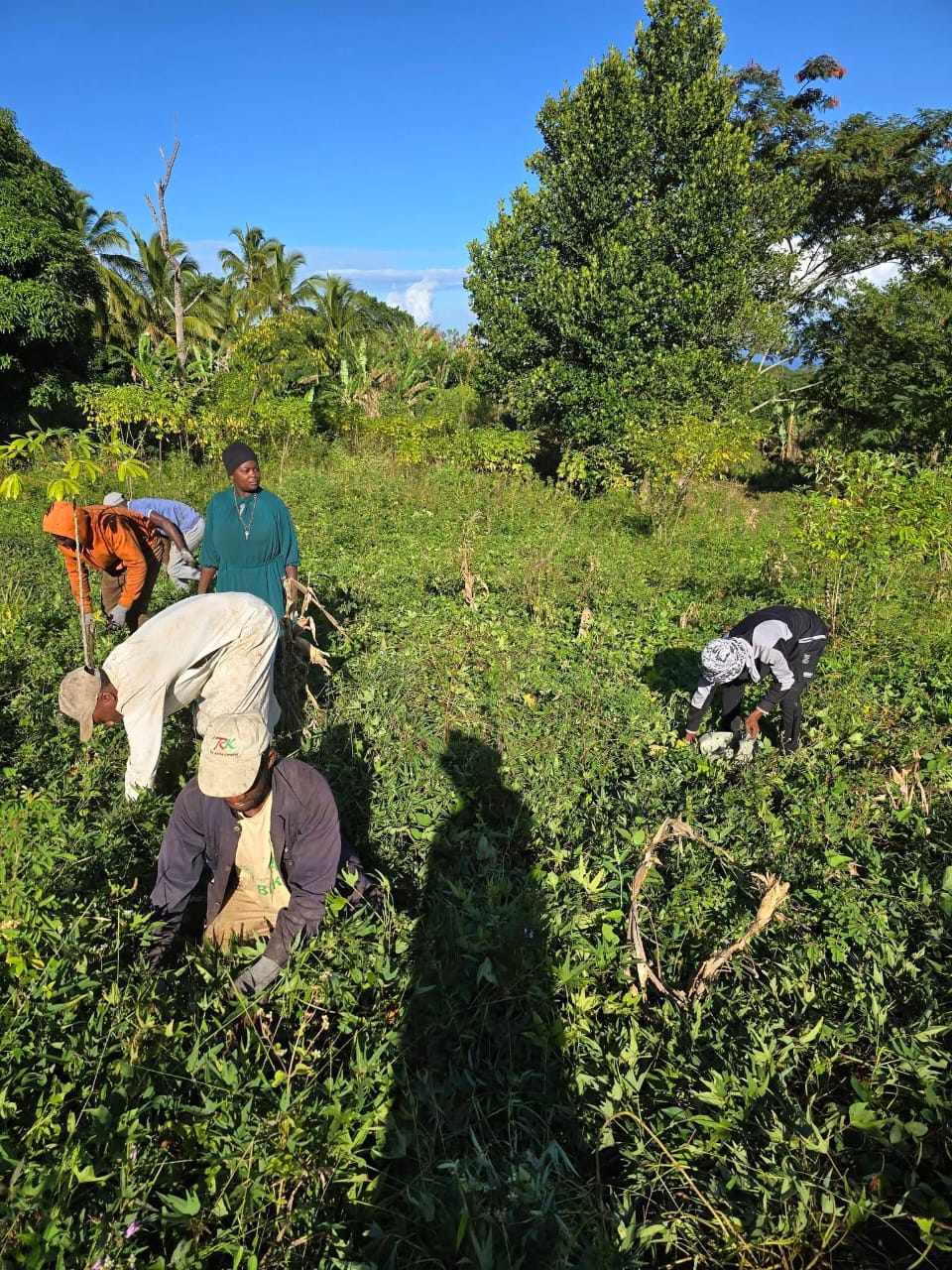 Photo 10 — Mihidjay Farms