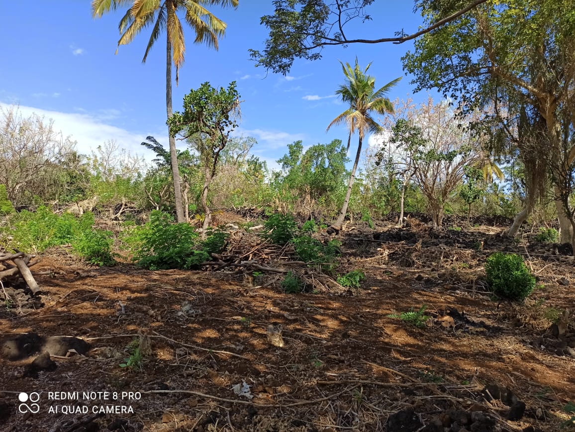 Photo 6 — Mihidjay Farms